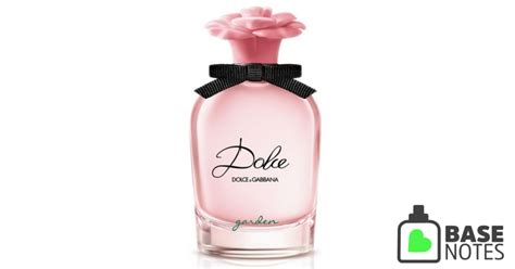 dolce gabbana basenotes|dolce and gabbana basenotes.